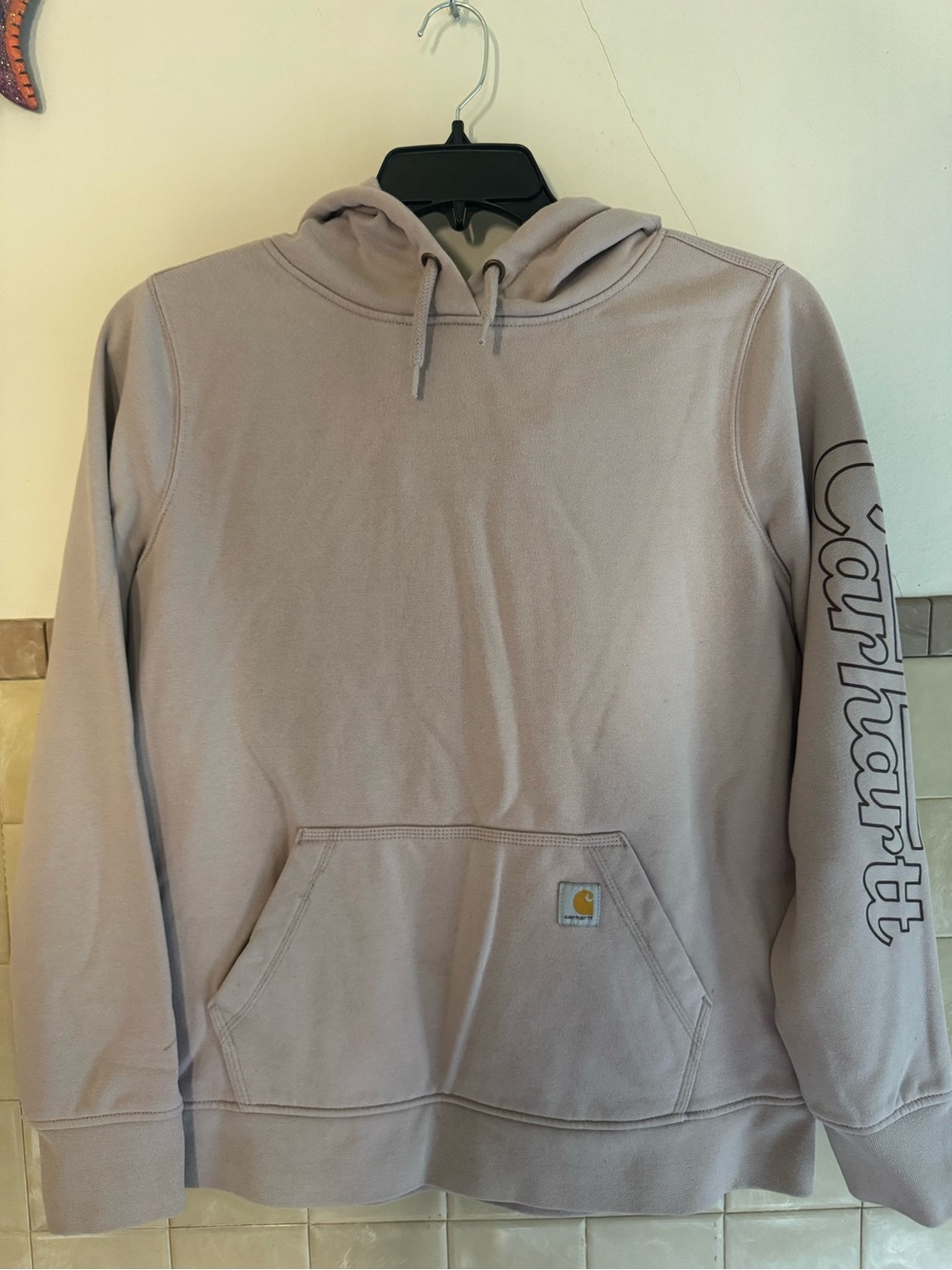 Carhartt Woman’s hooded Sweatshirt in Light Mauve